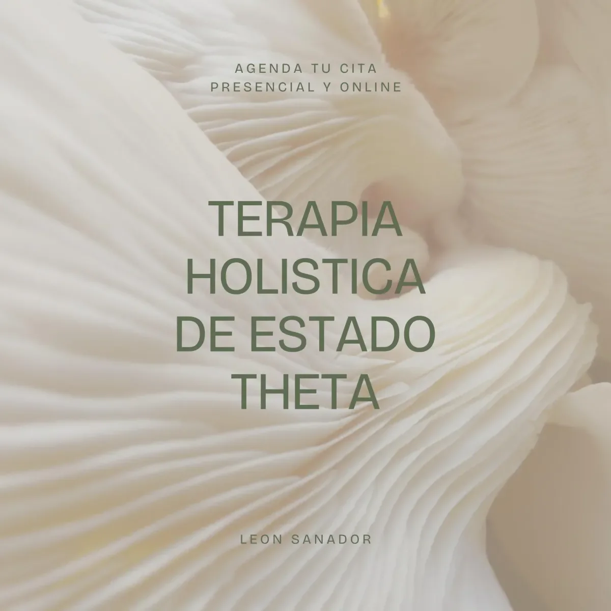 Terapia holística de estado theta